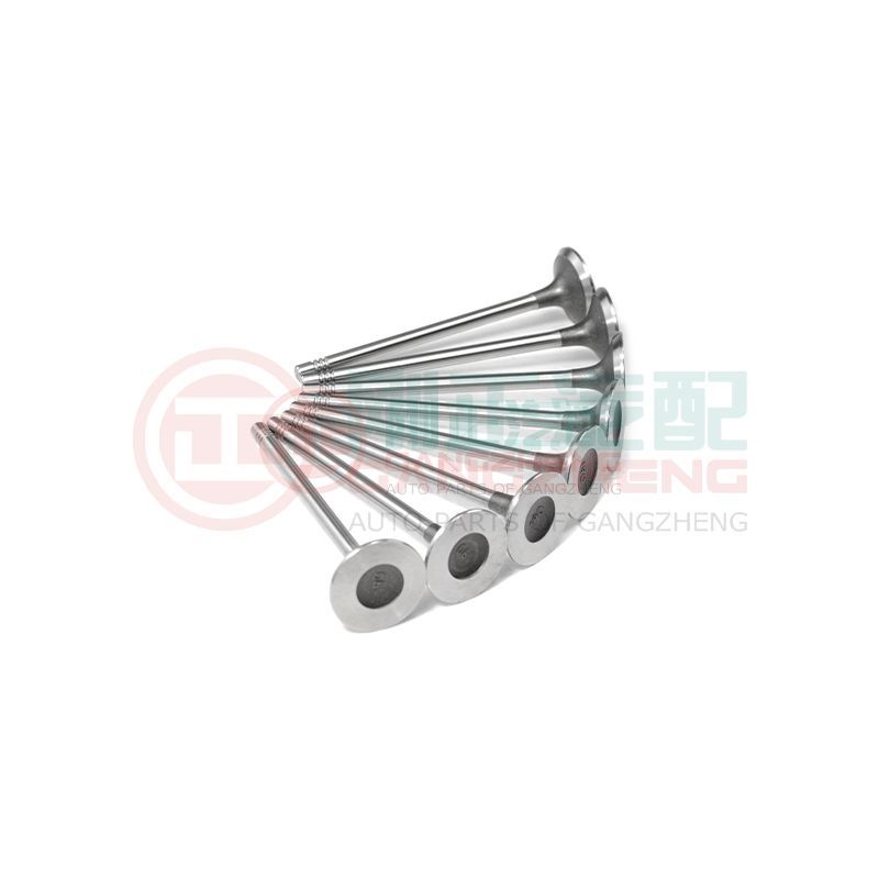 OE 1003202GD190 Auto Car Engine Exhaust Valve Kits Universal Auto Parts For JAC