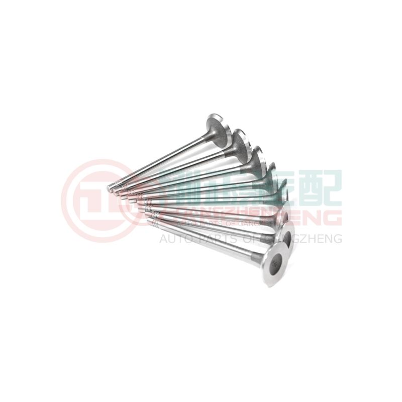 OE 1003202GD190 Auto Car Engine Exhaust Valve Kits Universal Auto Parts For JAC