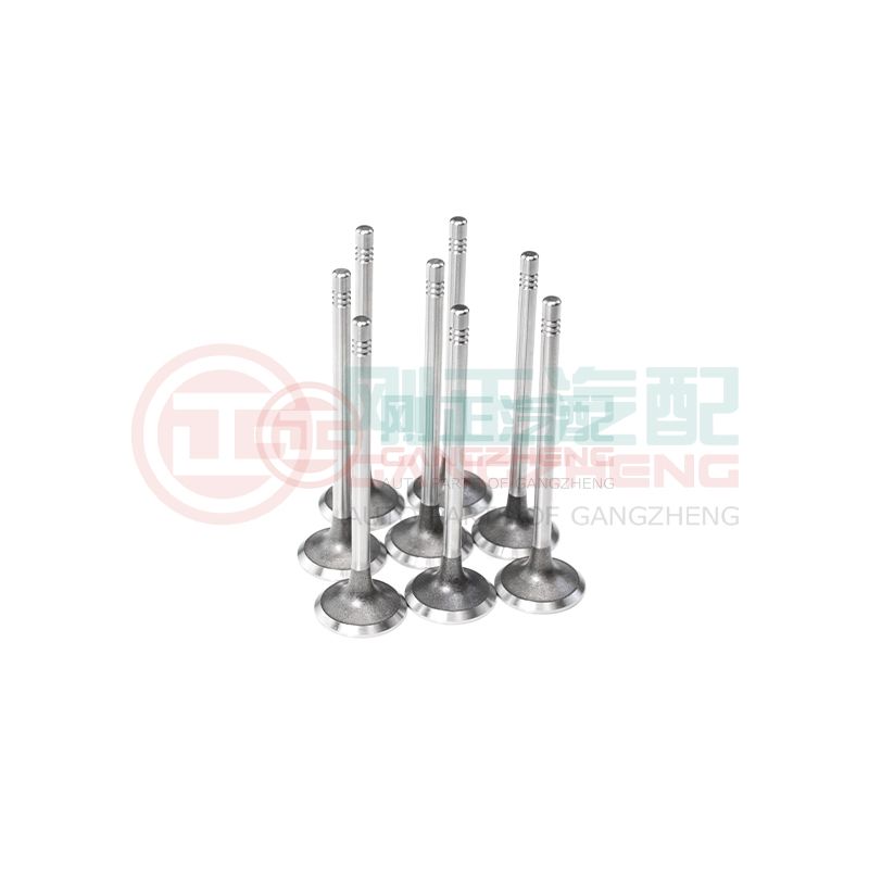 OE 1003202GD190 Auto Car Engine Exhaust Valve Kits Universal Auto Parts For JAC