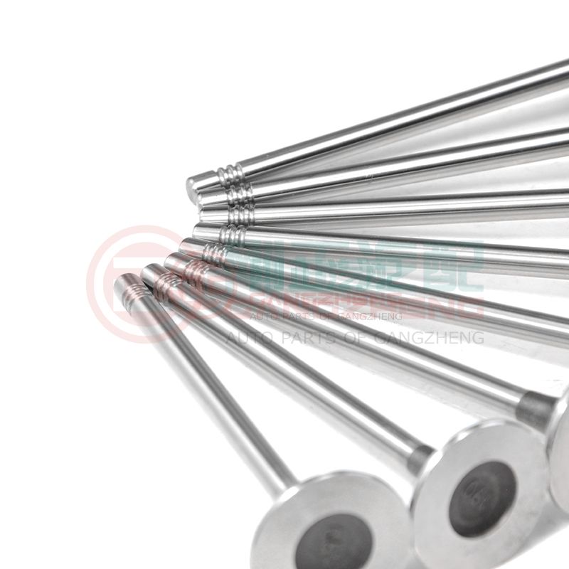 OE 1003202GD190 Auto Car Engine Exhaust Valve Kits Universal Auto Parts For JAC