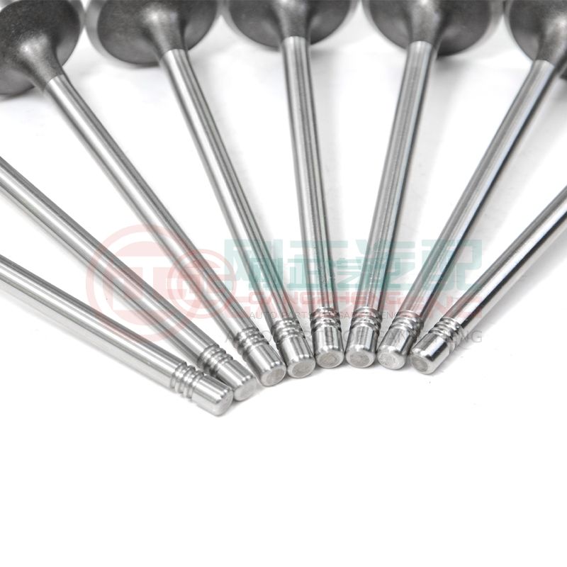 OE 1003202GD190 Auto Car Engine Exhaust Valve Kits Universal Auto Parts For JAC