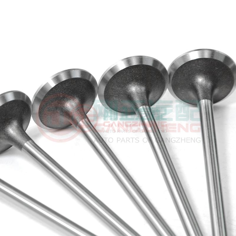OE 1003202GD190 Auto Car Engine Exhaust Valve Kits Universal Auto Parts For JAC