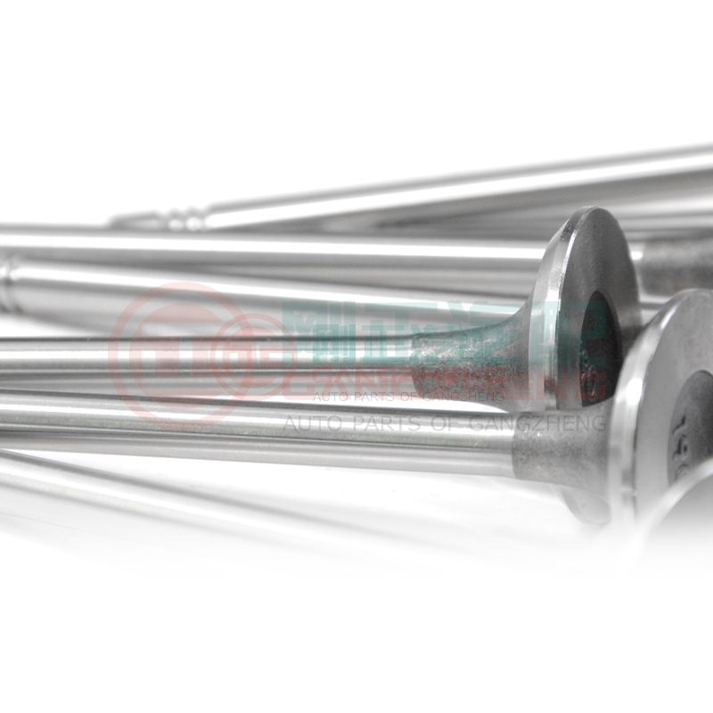 OE 1003202GD190 Auto Car Engine Exhaust Valve Kits Universal Auto Parts For JAC