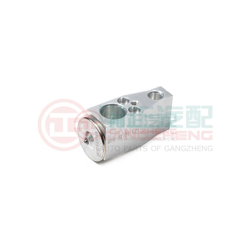 07200-03AA-10-03 Auto Engine Cooling System Car Front Evaporator Expansion Valve Accessories For Changan Star 6350