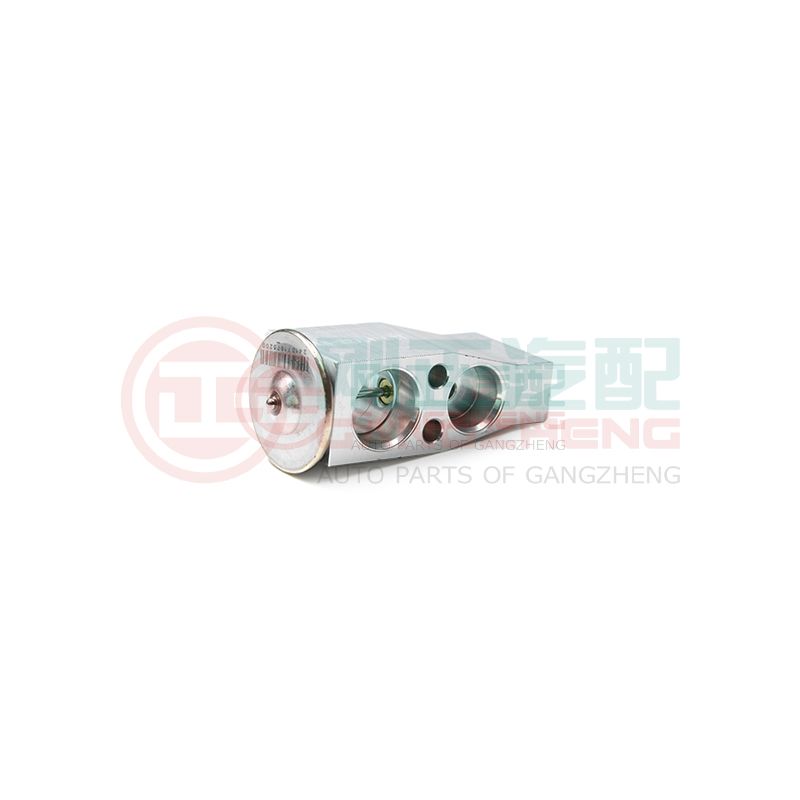 07200-03AA-10-03 Auto Engine Cooling System Car Front Evaporator Expansion Valve Accessories For Changan Star 6350