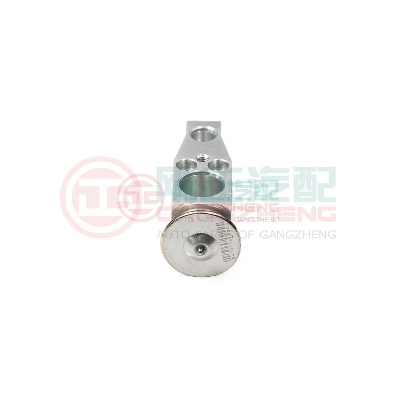 07200-03AA-10-03 Auto Engine Cooling System Car Front Evaporator Expansion Valve Accessories For Changan Star 6350