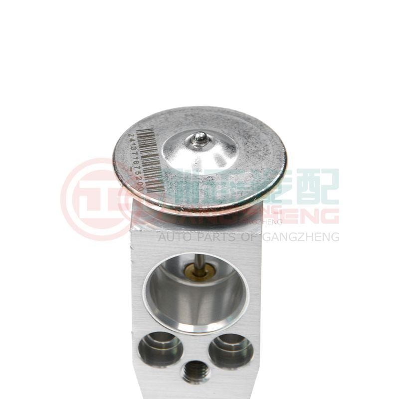 07200-03AA-10-03 Auto Engine Cooling System Car Front Evaporator Expansion Valve Accessories For Changan Star 6350