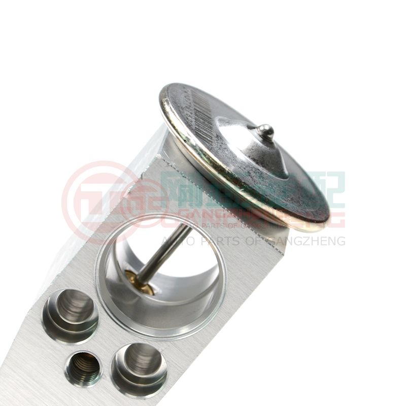 07200-03AA-10-03 Auto Engine Cooling System Car Front Evaporator Expansion Valve Accessories For Changan Star 6350