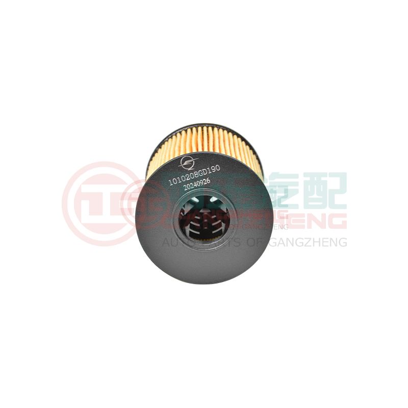 1010208GD190 Genuine Quality Auto Car Engine Oil Filter Parts For JAC
