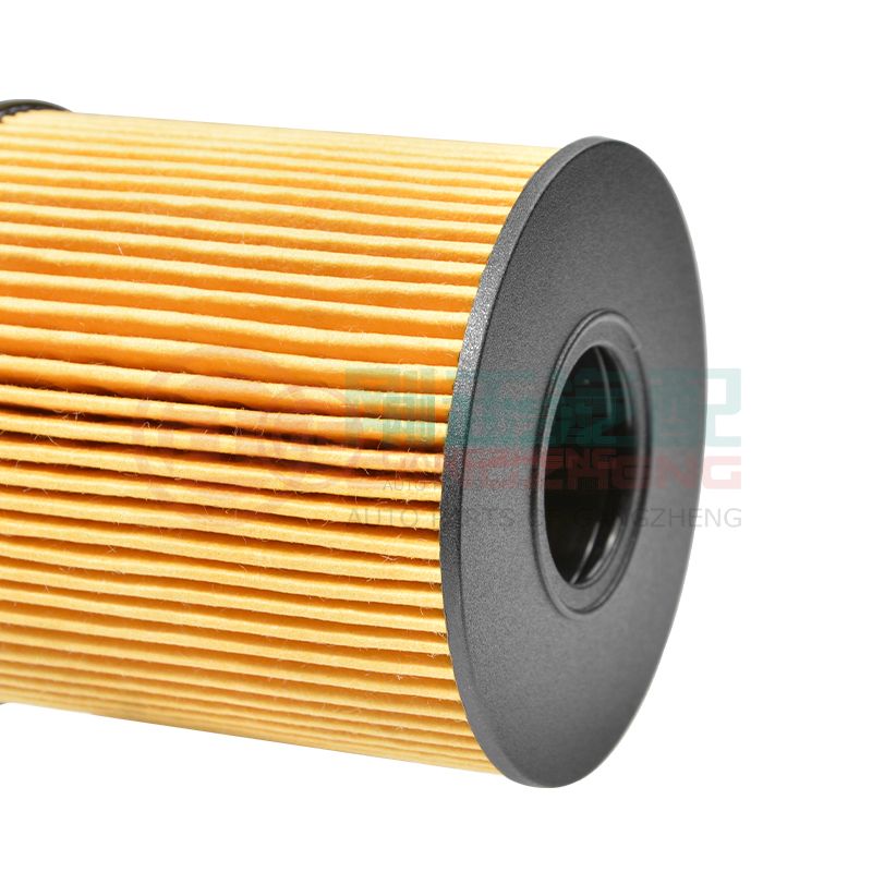 1010208GD190 Genuine Quality Auto Car Engine Oil Filter Parts For JAC