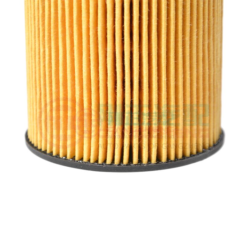 1010208GD190 Genuine Quality Auto Car Engine Oil Filter Parts For JAC