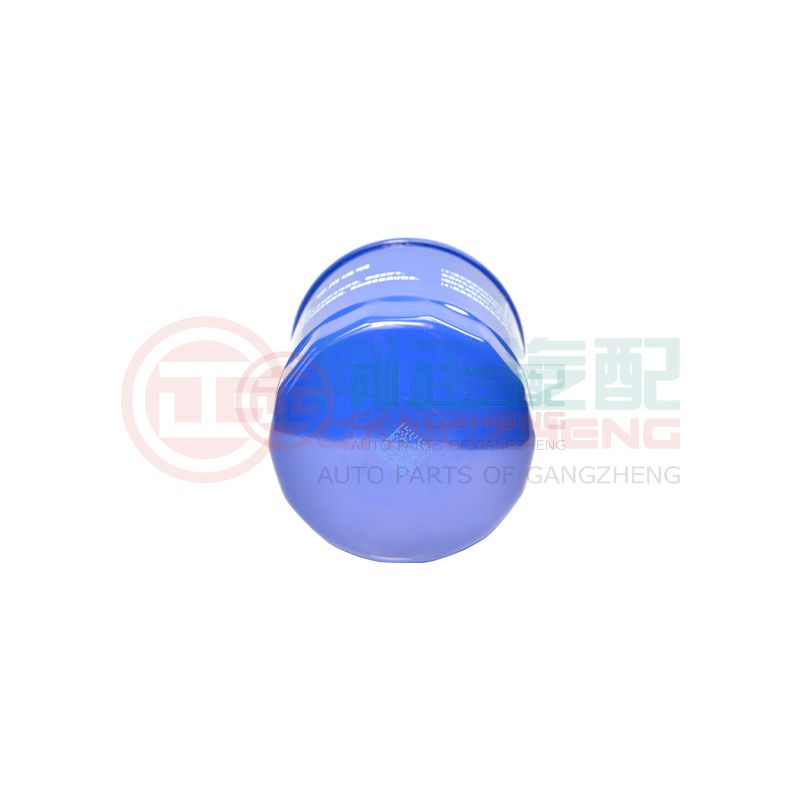 1017100GH500 Original Car Engine Oil Filters Part For JAC Car